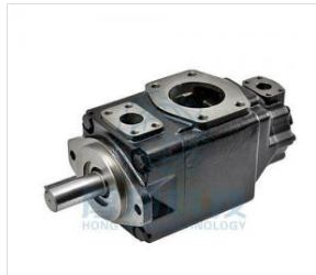 Double-line vane pump